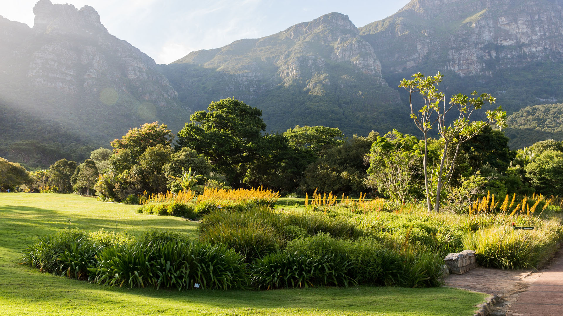 Image of Kirstenbosch Gardens in Cape Town